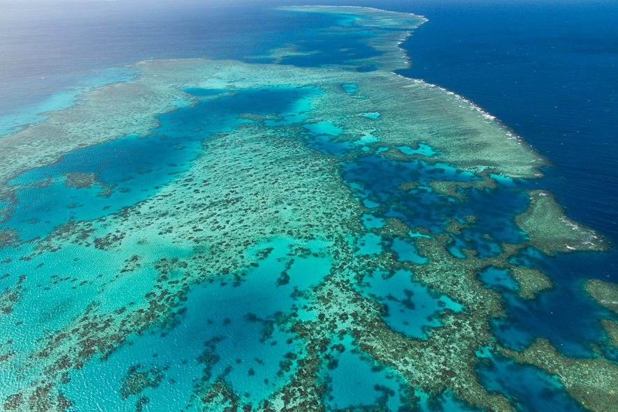 Fly and Cruise the Great Barrier Reef