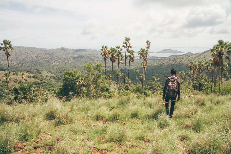 Komodo island hass plenty of hiking options, pick the 4hours Komodo adventure tour if you dare