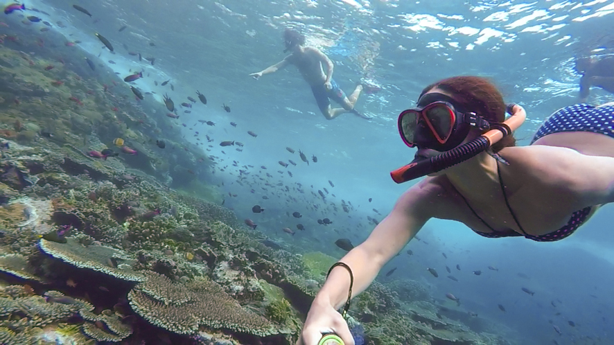 Komodo was one of the most wonderful places to snorkel in the world