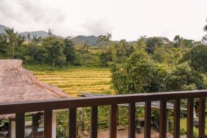 View on the rice paddies from our room at the Kelimutu Ecolodge